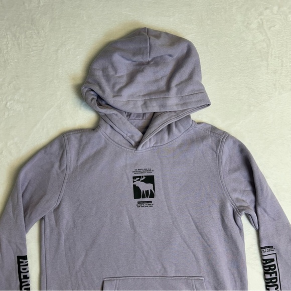Abercrombie & Fitch Kids Purple Boy's Logo Cotton Blend Fleece Hoodie Size 11/12 - Picture 2 of 6